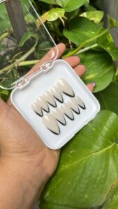 whatsapp image 2025 09 23 at 2.45.25 pm