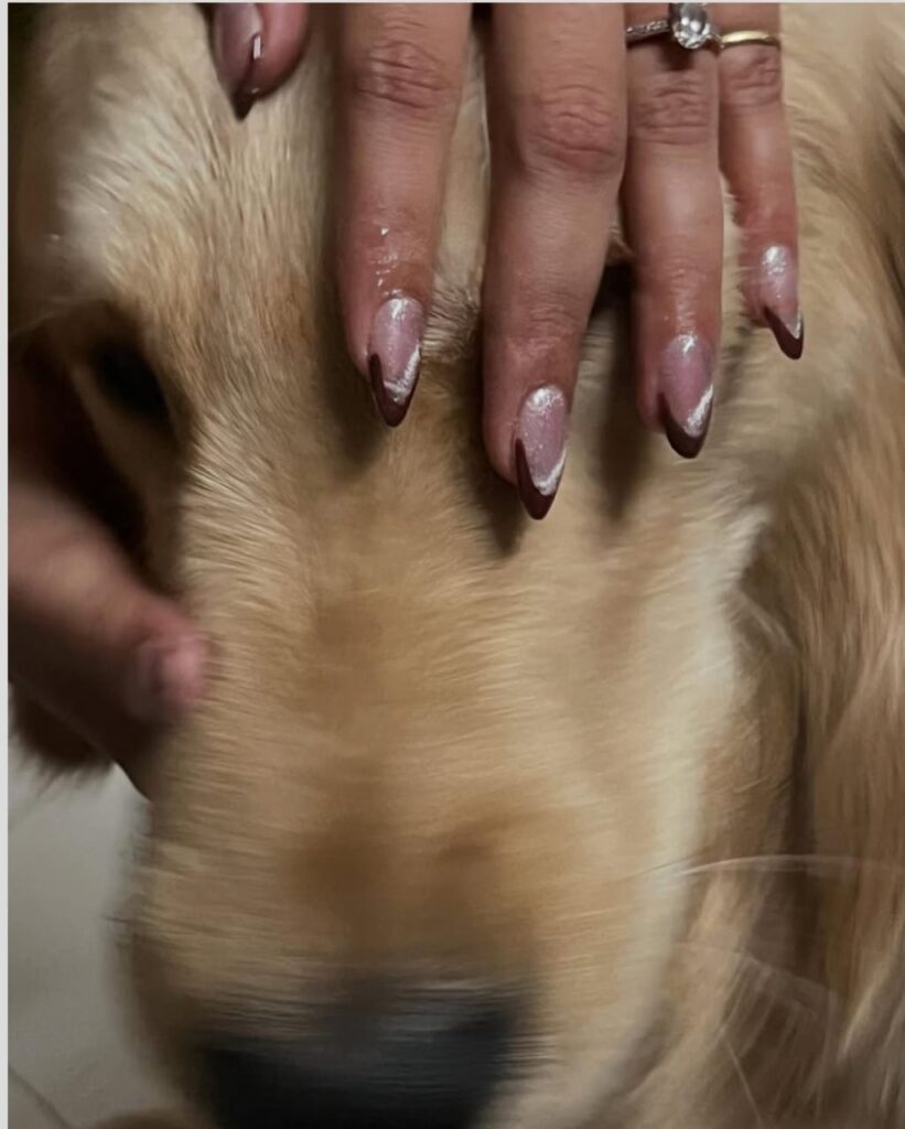 whatsapp image 2025 11 01 at 4.58.40 pm